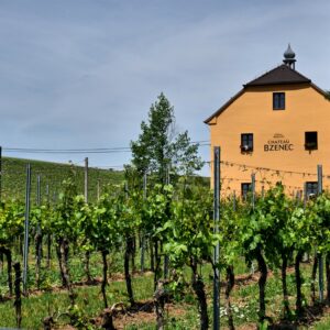 Vinařství Chateau Bzenec