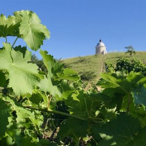 Vinice, Vyhlídka Hradištěk, Velké Bílovice