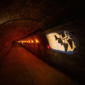 Habánské sklepy - audiovizuální prohlídková trasa