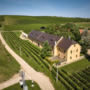 Vinařství Chateau Bzenec